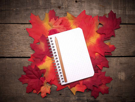 Small notebook on autumn leaves on a rustic wooden tableの写真素材
