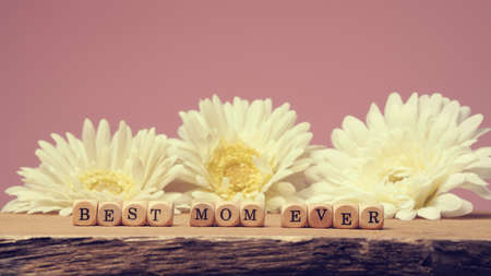 Mothers day concept image with wooden dices and the words Nest mom ever, using as background or headerの写真素材