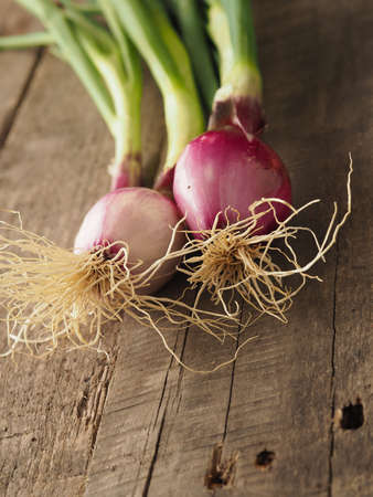 Healthy food concept with organic spring onions on a rustic wooden table, natural light with selective focusの写真素材