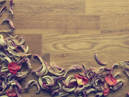 Autumn or thanksgiving background with space for text or image, retro film stylizedの写真素材