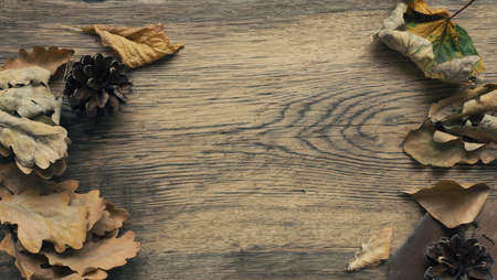 Autumn or Thanksgiving background with old wooden plank and leavesの写真素材