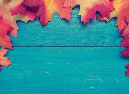 Blue weathered wood with red leaves, seasonal fall backgroundの写真素材