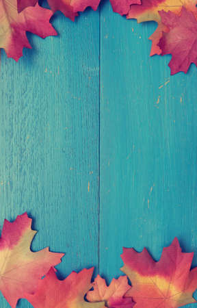 Blue weathered wood with red leaves, seasonal fall background, vintage color stylizedの写真素材