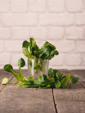 Fresh organic mache in a glass on a rustic wooden kitchen table, healthy food conceptの写真素材