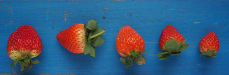 Fresh organic strawberries on a blue kitchen table, healthy food panoramaの写真素材