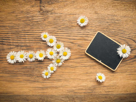 Small chalkboard with beautiful daisies on a rustic wooden background,, time for gardening, springtime conceptの写真素材