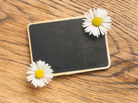 Small chalkboard with beautiful daisies on a rustic wooden background,, time for gardening, springtime conceptの写真素材