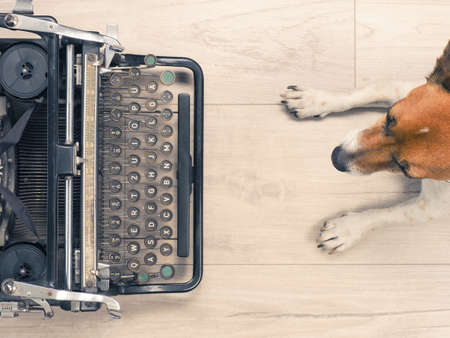 Cute dog with an old typewriter on a wooden floor, view from aboveの写真素材