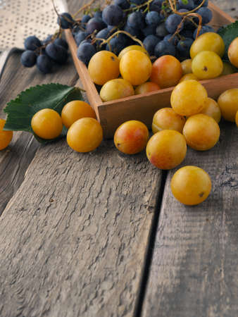 Fresh organic fruits, mirabelles, plums and grapes on a kitchen tableの写真素材