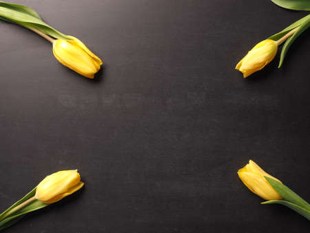 Valentines Day concept background with four tulips on a chalkboard