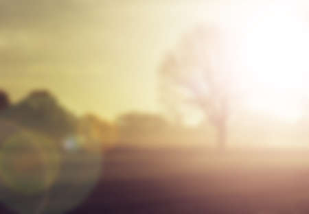 Big oak tree on the farmland, golden autumn scene with fog and sunrise, blurred seasonal backgroundの写真素材