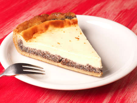 Piece of tasty organic cheese cake with poppyseed on a white plateの写真素材