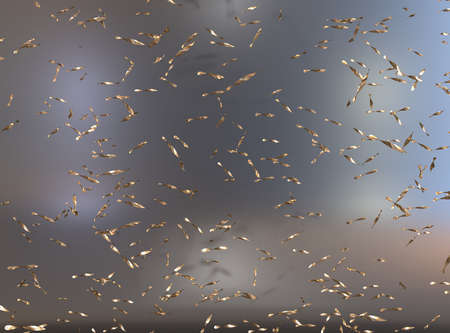 Shiny glitter background with reflections, 3d renderingの写真素材