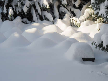Winter picture with a closed snow cover, using as seasonal background, cold sunny day