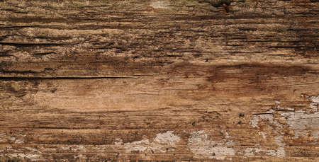 Old weathered wood as background, wood texture, backdrop,の写真素材