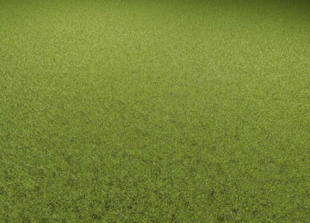 A green lawn with text free space as a sports field background, 3d renderingの写真素材