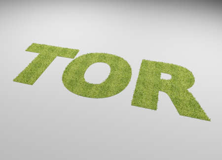 The German word goal with a lawn texture on a white background, 3d renderingの写真素材