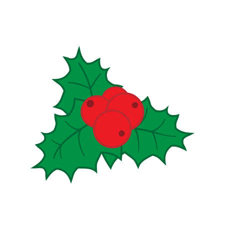 Holly as Christmas decoration on white background, vector illustrationのイラスト素材