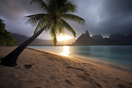 Dark Tropical Beachscapeの素材