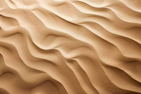 Sand dunes in the desert as an abstract background. Toned.の素材