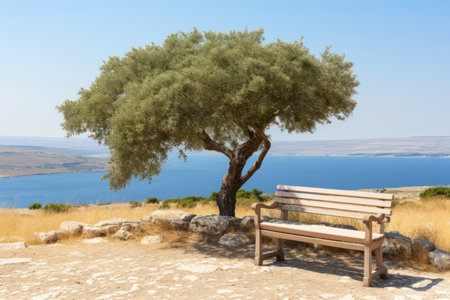 a bench sitting next to a tree on a hill overlooking a body of waterの素材