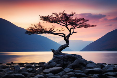 a lone tree stands on a rock in front of a lake at sunsetの素材