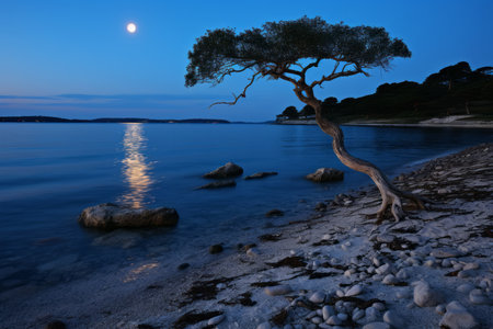 a lone tree on the shore of a body of waterの素材