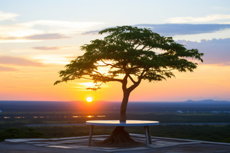 a tree with a bench in front of itの素材