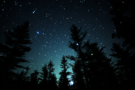 the sky is filled with starsの素材