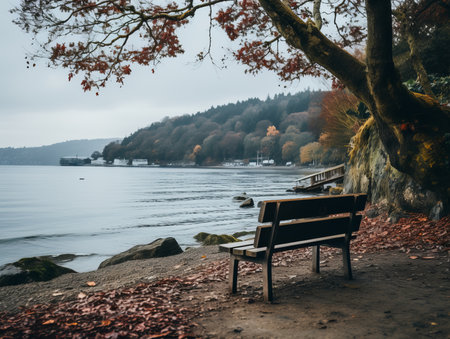 a bench sitting under a tree next to a body of waterの素材