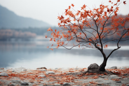a lone tree in front of a lake with autumn leavesの素材