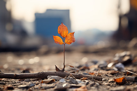 a small plant growing out of the ground in the middle of a cityの素材