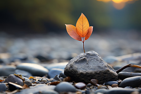 a small plant is growing out of a rockの素材