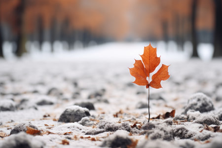 an orange leaf sits in the middle of a snowy fieldの素材