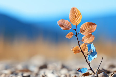 a small plant growing out of the ground in the middle of a fieldの素材