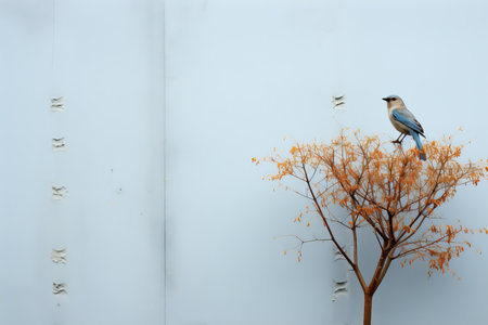 a blue bird perched on a small tree in front of a white wallの素材