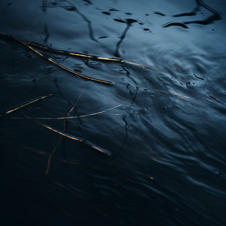 a close up of water with some twigs in itの素材