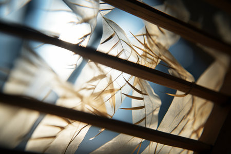 a view of the sun shining through a windowの素材