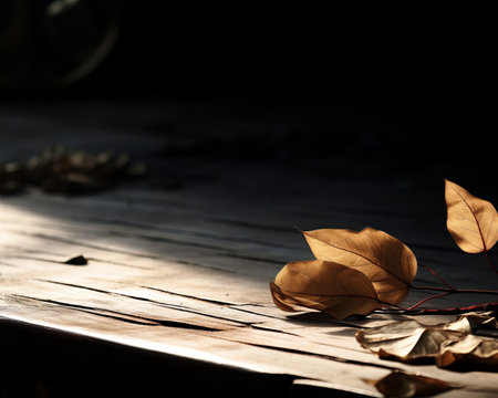 leaves on a wooden table with sunlight shining on themの素材