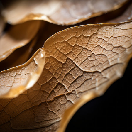 a close up of a leaf with cracks on itの素材