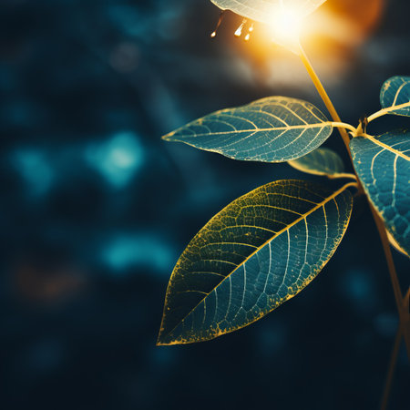 a close up of a leaf with sunlight shining through itの素材