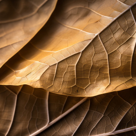 a close up view of a brown leafの素材
