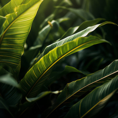 a close up view of some green leavesの素材