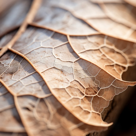 a close up view of a leaf with cracks in itの素材