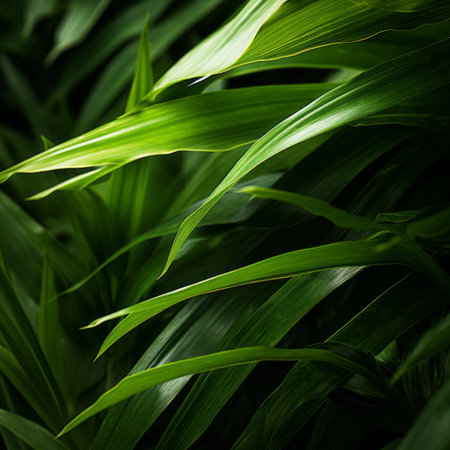 a close up view of some green leavesの素材