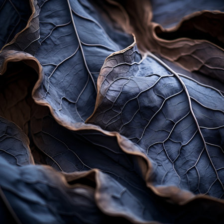 a close up view of some leaves on a dark backgroundの素材