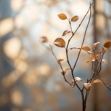 a plant with leaves on it in front of a windowの素材