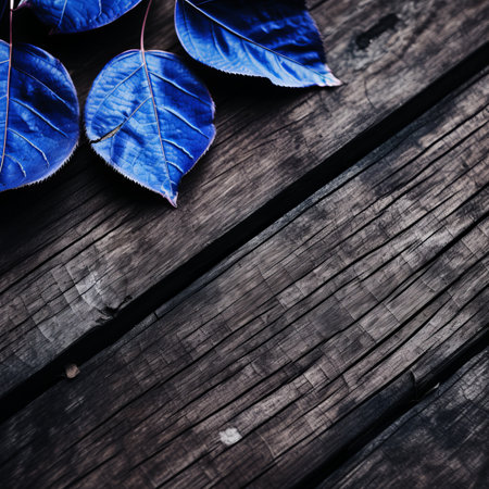 blue leaves on a wooden tableの素材