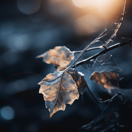 leaves on a branch with the sun shining in the backgroundの素材