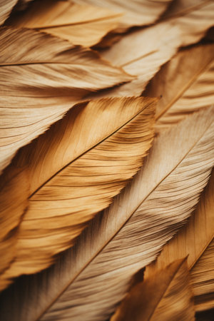 a close up view of a bunch of brown feathersの素材